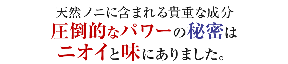 ���|�I�ȉh�{�f�B������̌��N�h�����N