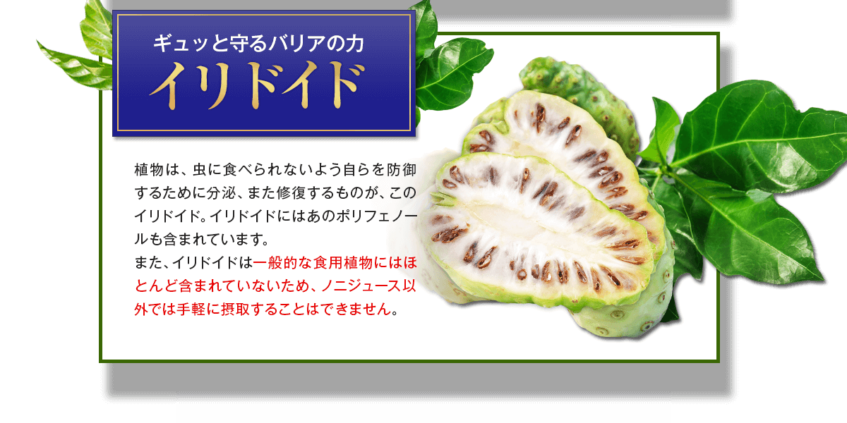 �C���h�C�h