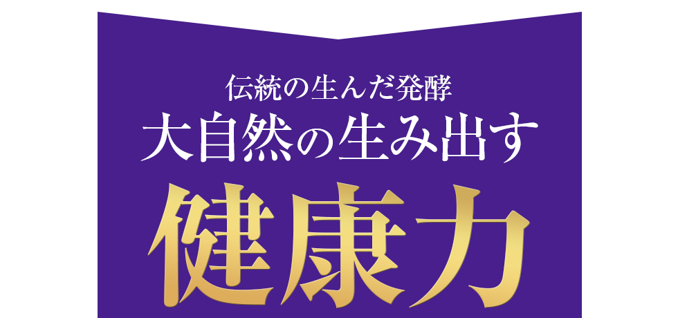 �厩�R�̐��ݏo�����N��