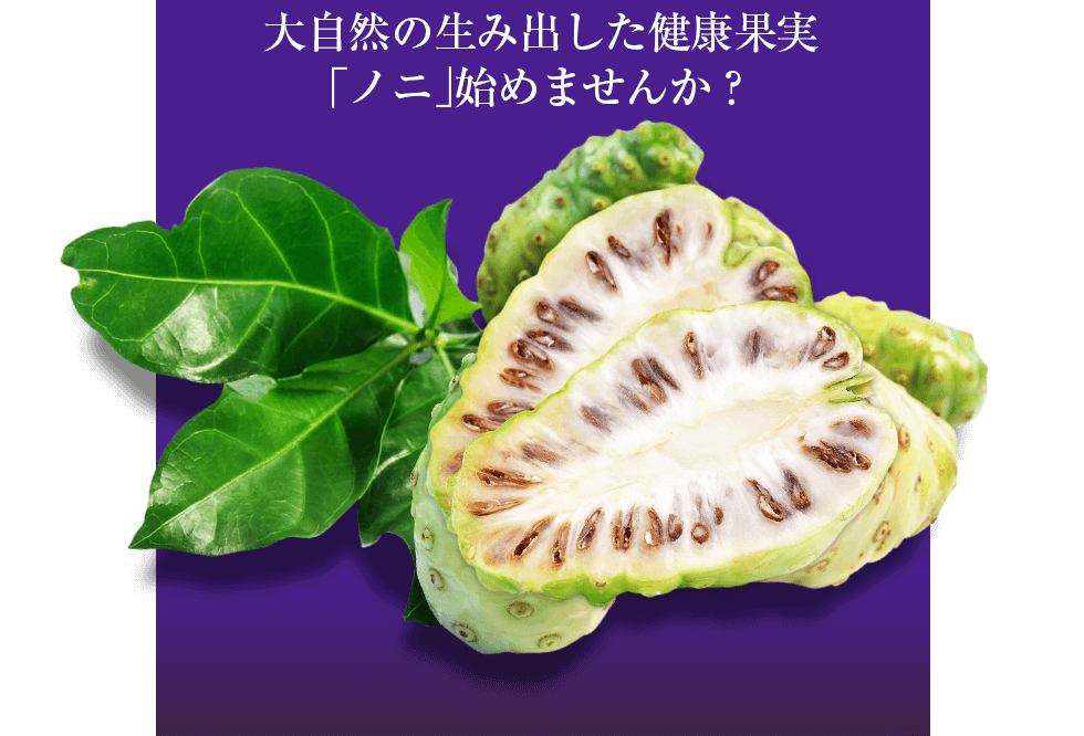 �厩�R�̐��ݏo�������N�ʎ��u�m�j�v���n�߂܂��񂩁H