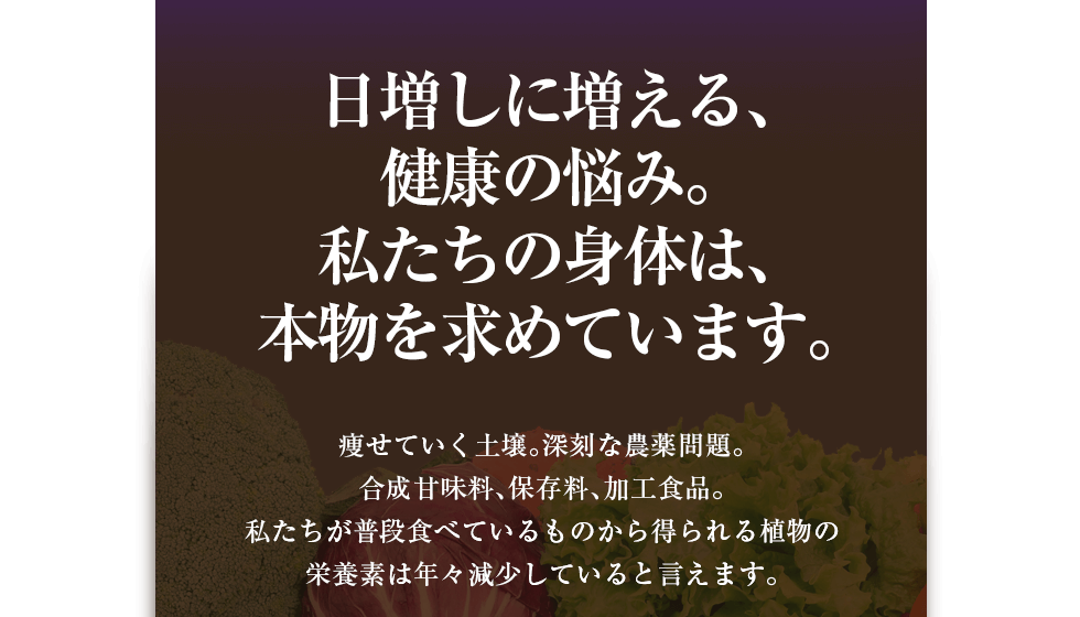 �������ɑ�����A���N�̔Y��