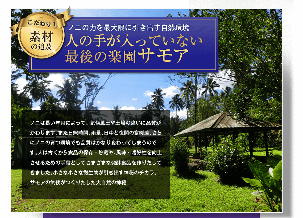 �l�̎肪�����Ă��Ȃ��Ō�̊y���T���A