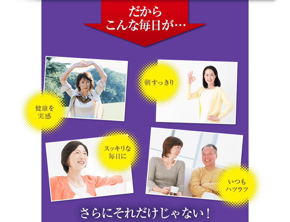 ����ɂ��ꂾ������Ȃ��I