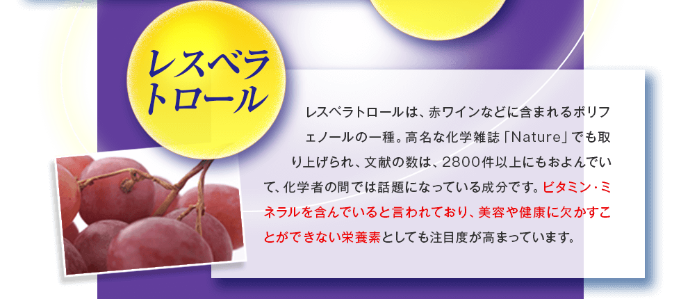 ���X�x���g���[��