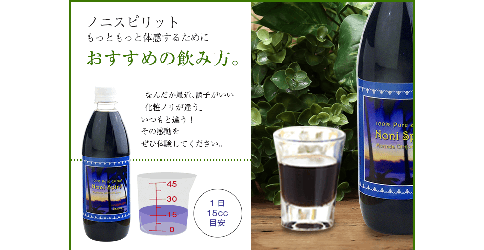 �m�j�X�s���b�g�@�������߂̈��ݕ�