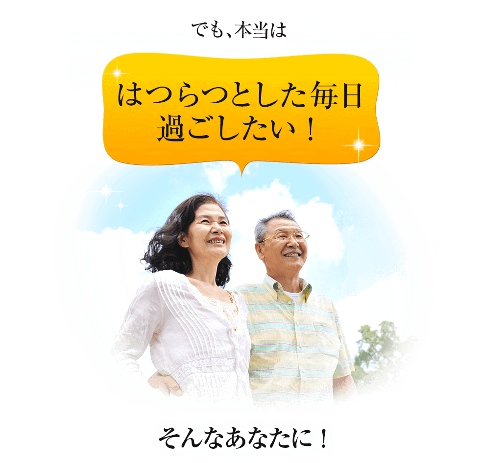 �͂�Ƃ��������߂�������